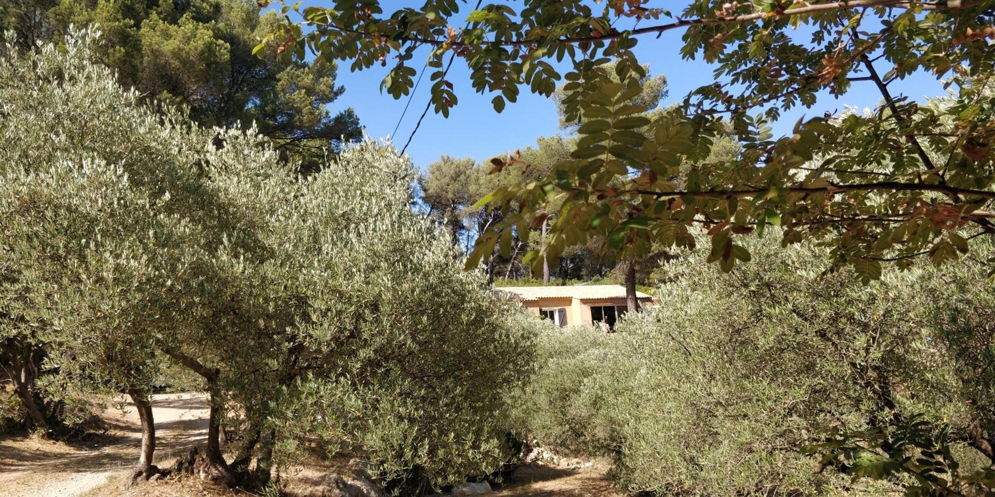 Villa Cigalons En Pleine Pinede Avec Piscine Chauffee De Mai A Septembre Auriol Екстер'єр фото