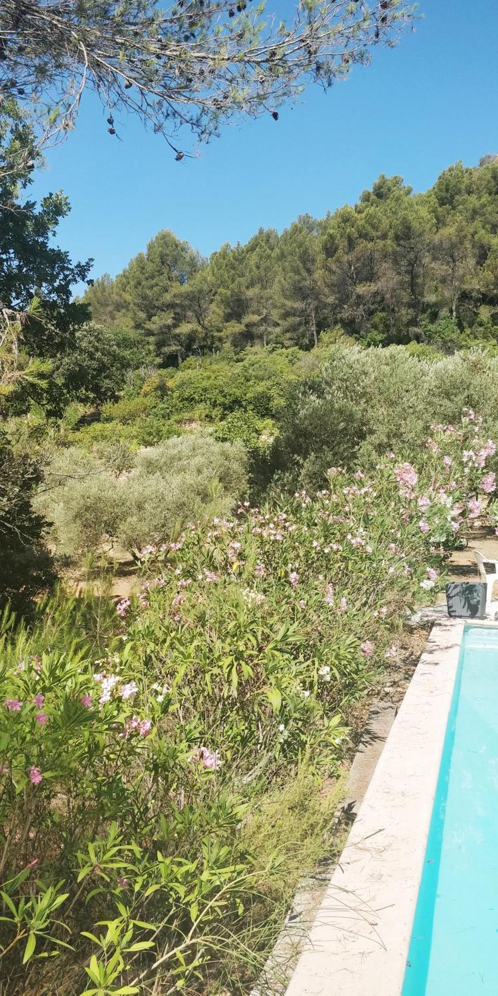 Villa Cigalons En Pleine Pinede Avec Piscine Chauffee De Mai A Septembre Auriol Екстер'єр фото