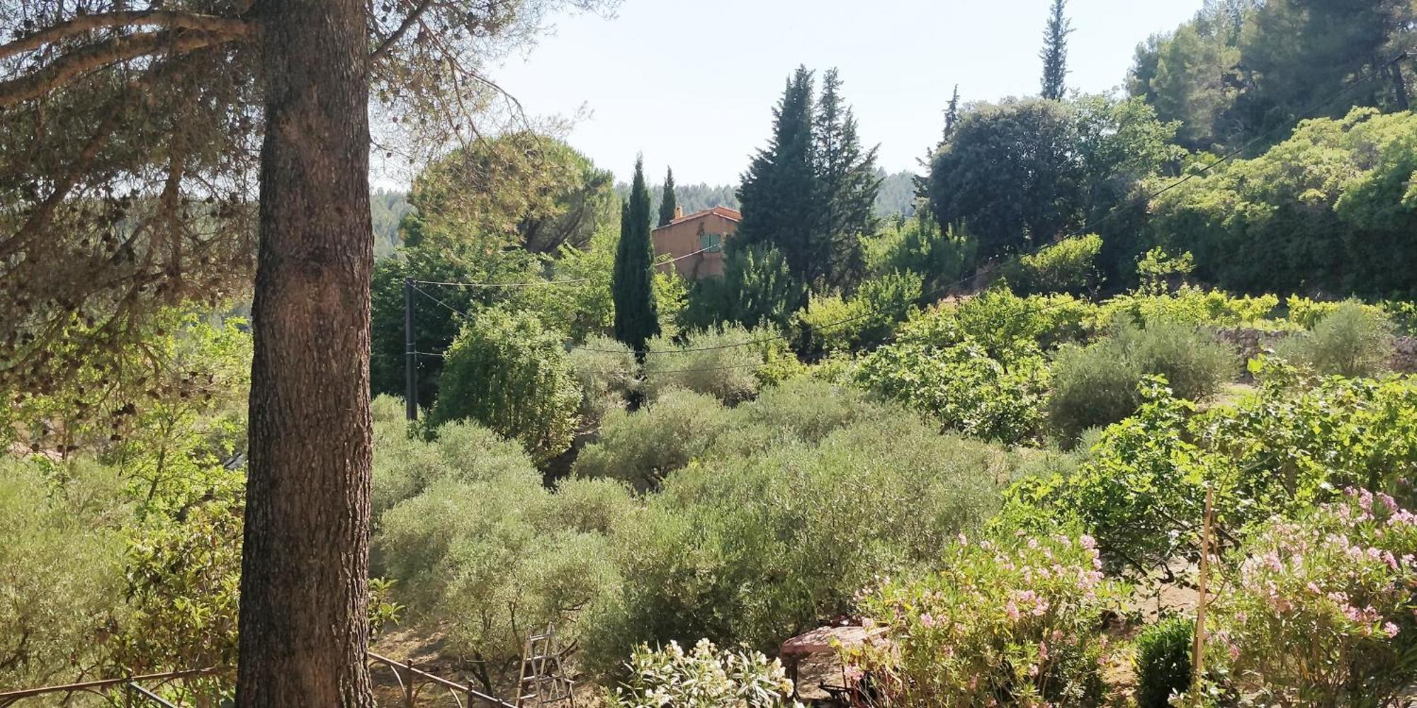 Villa Cigalons En Pleine Pinede Avec Piscine Chauffee De Mai A Septembre Auriol Екстер'єр фото